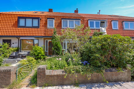 undefined main image