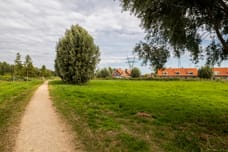 Image of Bosstraat 19 - Third image