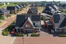 Afbeelding van Koriander 25 - Tweede foto
