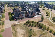 Afbeelding van Koriander 25 - Derde foto