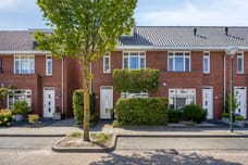 Afbeelding van Steenuil 14 - Tweede foto