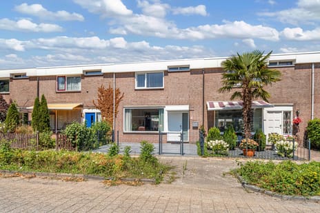 undefined main image