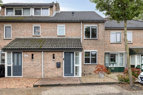 Ratelwacht 50 main image