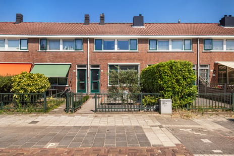 undefined main image
