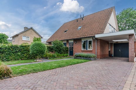 undefined main image