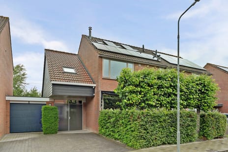 undefined main image