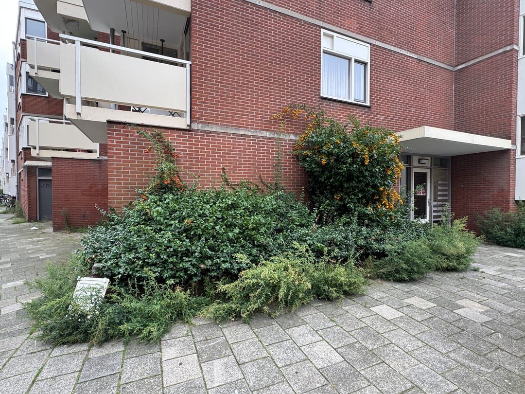 House Exterior