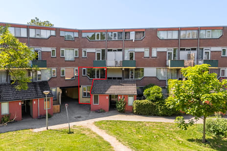 undefined main image