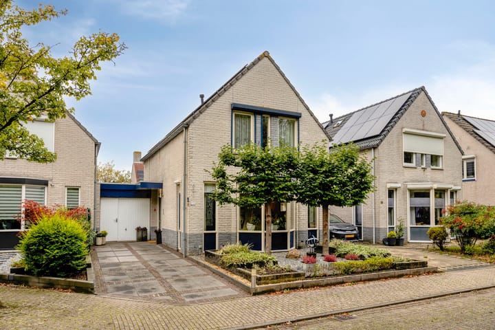 Dijkplan 20 main image
