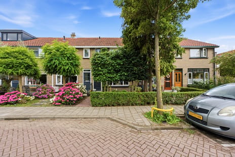 undefined main image