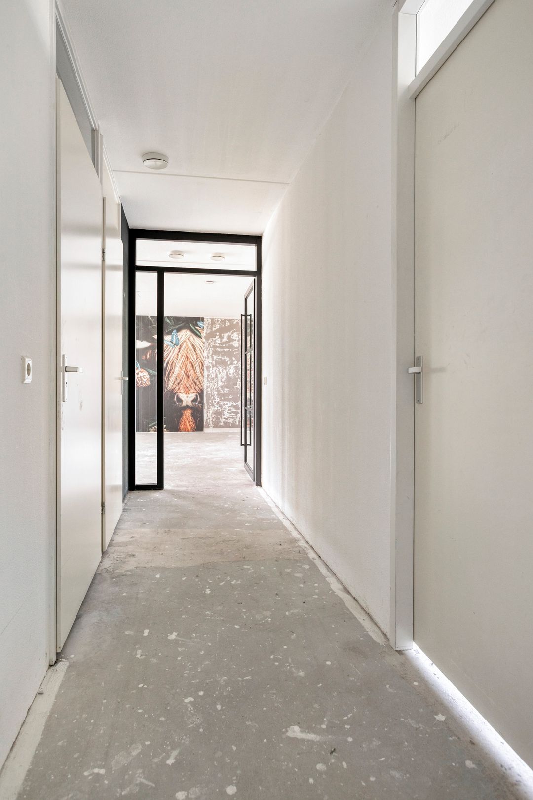 House Image 4