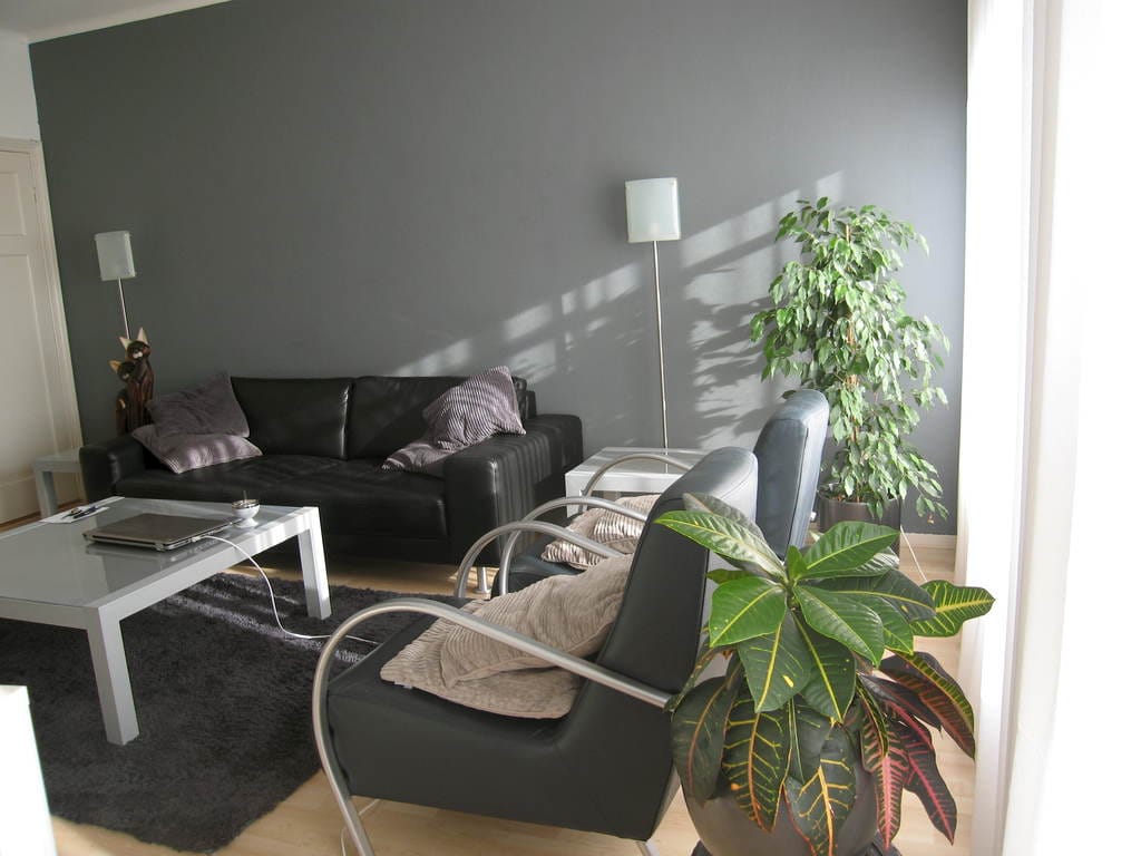 House Image 4