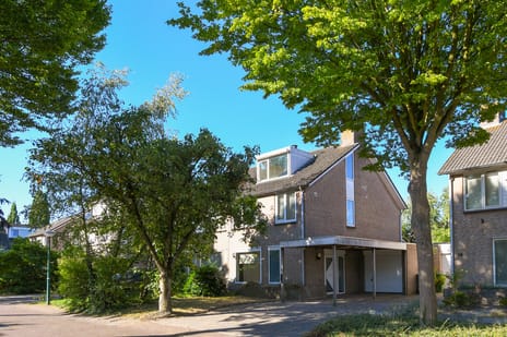undefined main image