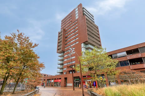 undefined main image