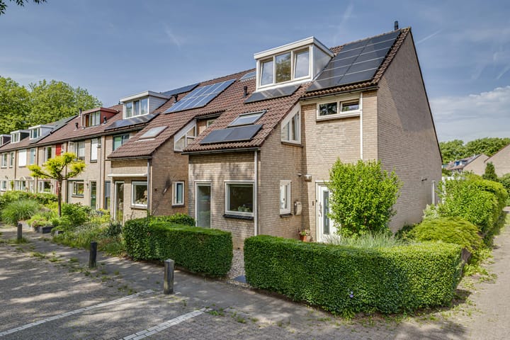 Viltmakersdonk 1 main image