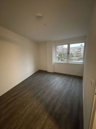 House Image 3
