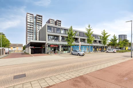 undefined main image