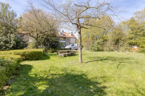 Oude Bogerd 34 tertiary image