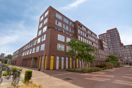 undefined main image