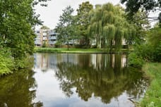 Image of Midscheeps 32 - Third image