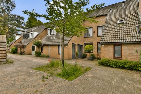 Dwarswatering 10 tertiary image