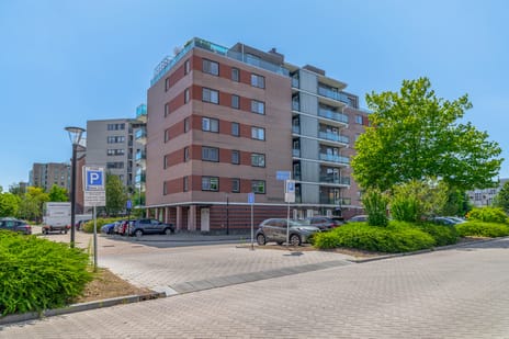 undefined main image
