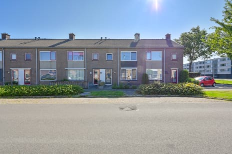undefined main image