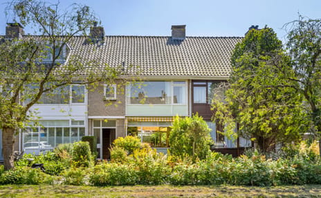 undefined main image