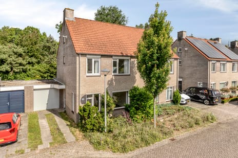undefined main image