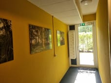 Image of Waldenlaan 50 - Third image