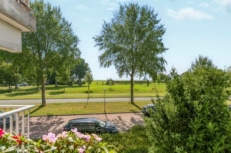 Afbeelding van Achterwerf 259 - Tweede foto