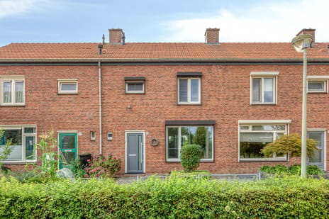 undefined main image