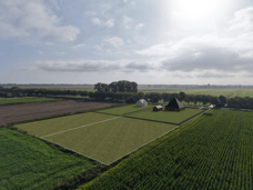 Afbeelding van Oosterweg E - Tweede foto