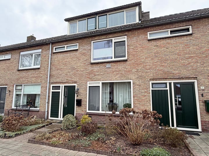 David Krammerstraat 55 main image