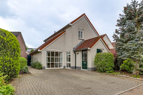 undefined main image