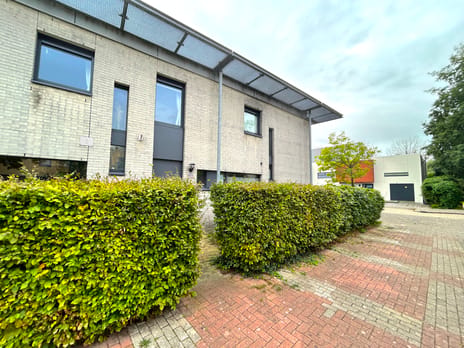 Zilvermeeuw 25