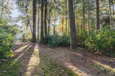 Afbeelding van Groteweg 57 - Derde foto