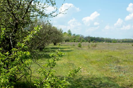 Scherpenzeelseweg secondary image
