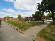 Afbeelding van Graskarper 18 - Derde foto
