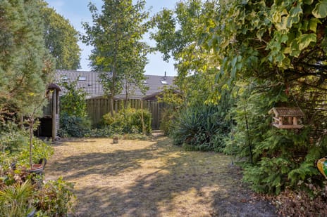 Mimosastraat 8 secondary image