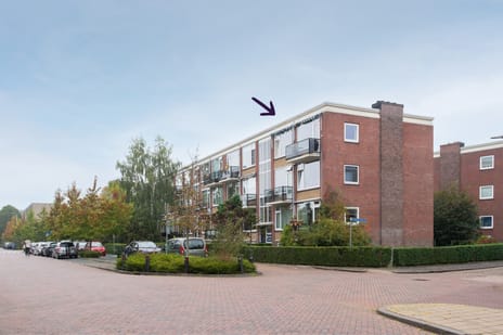 Jhr. De Savornin Lohmanstraat 18 main image
