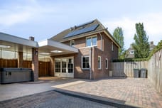 Afbeelding van Sint Jansbloem 33 - Tweede foto