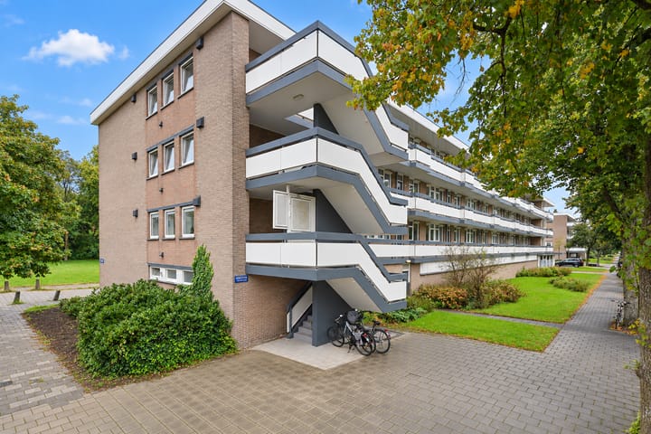Bolestein 738 main image