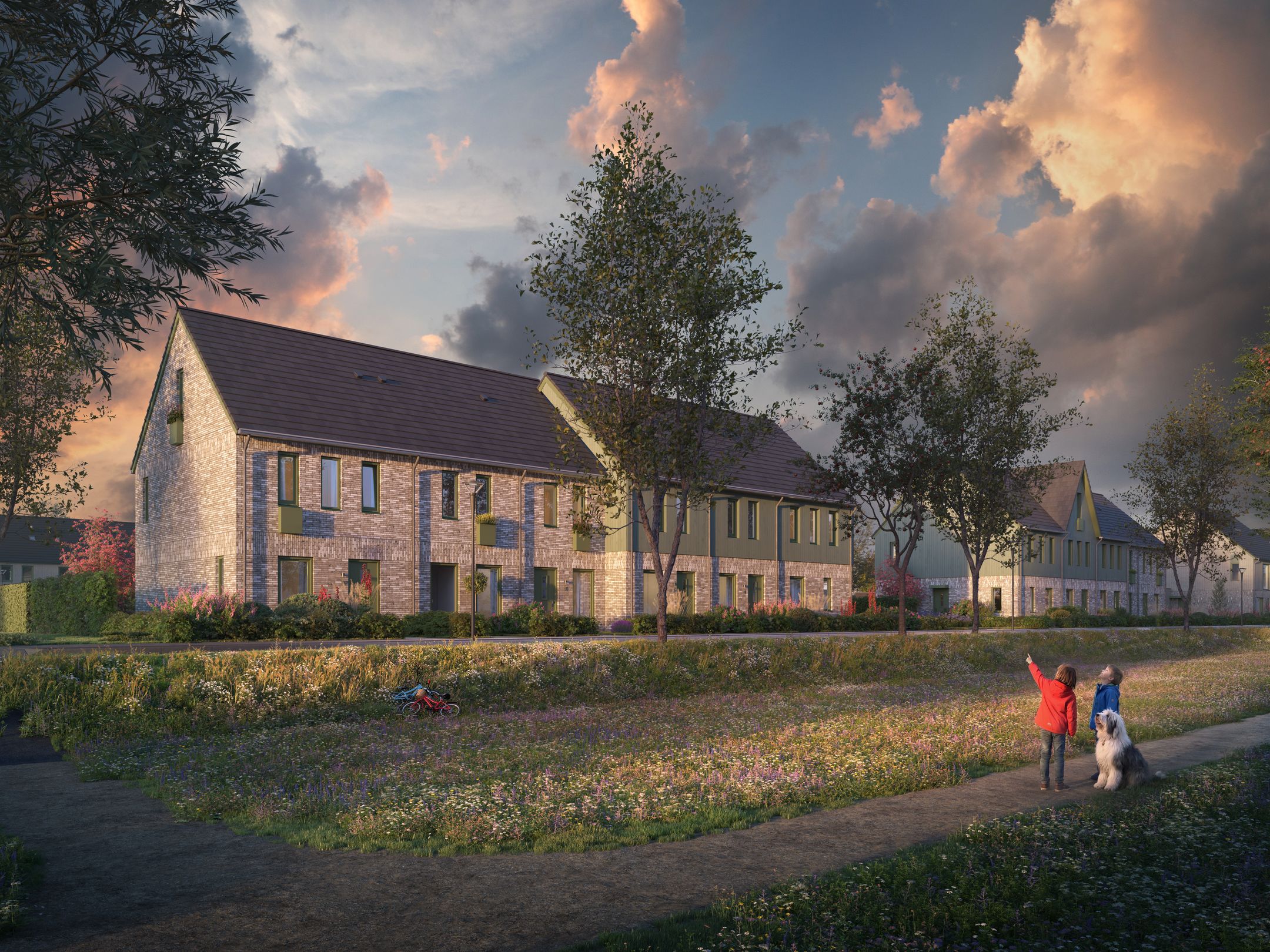 Foto 5 van De Terpen fase 2 (Kiem van Skagen)