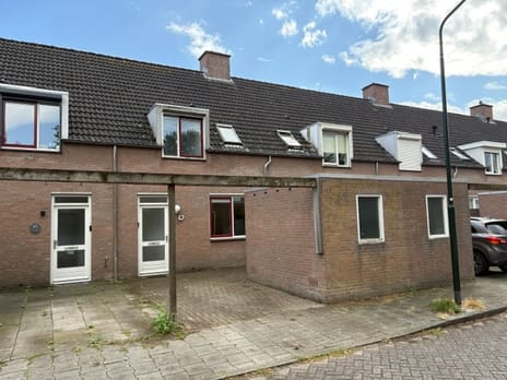 undefined main image