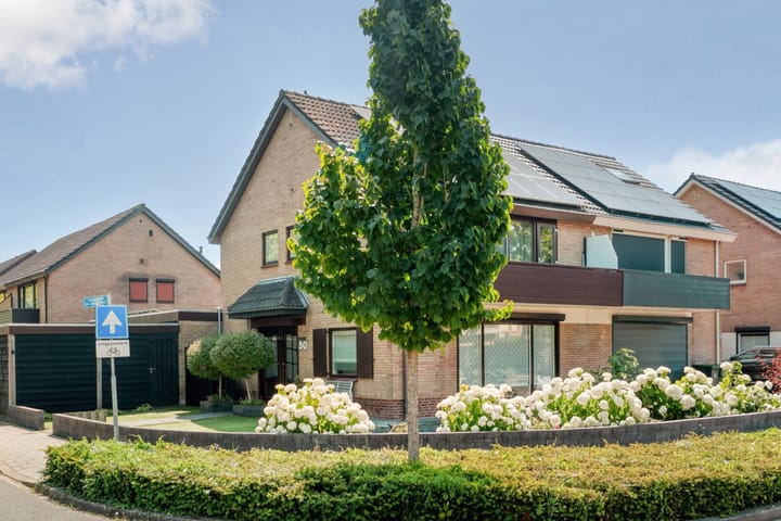 Willem de Zwijgerlaan 50 main image