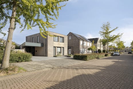 Lijsterbes 11