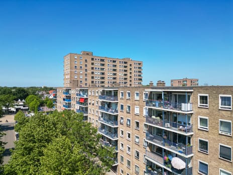 Aert van Neslaan 504 main image