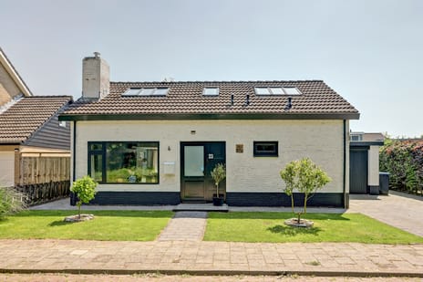 undefined main image