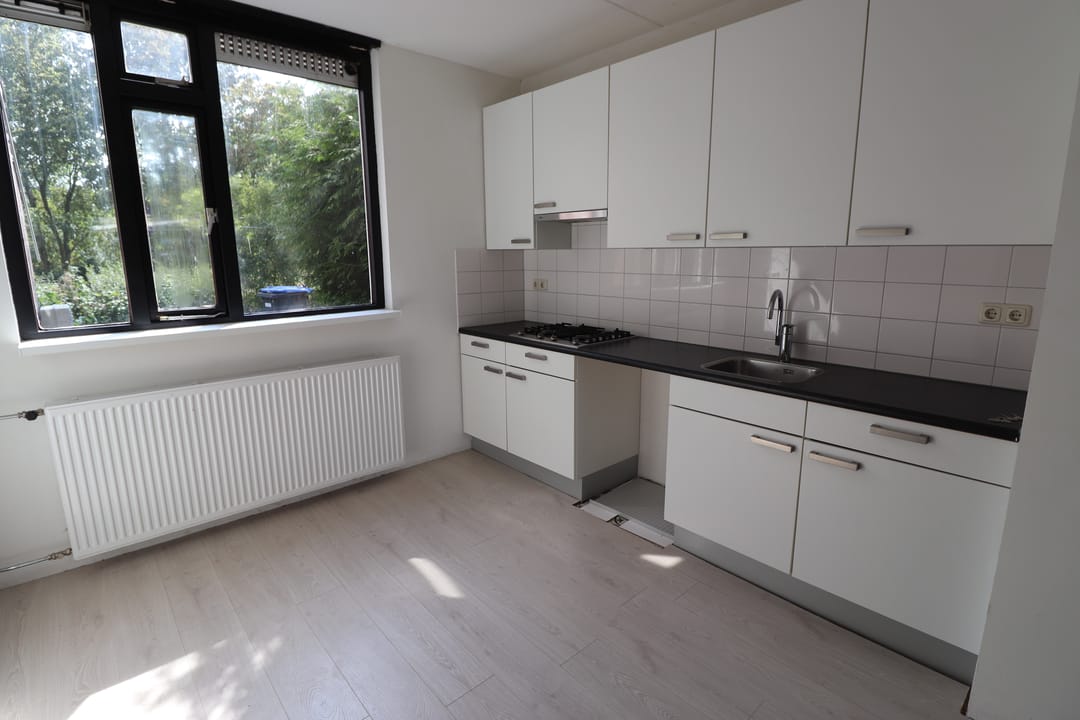 House Image 4